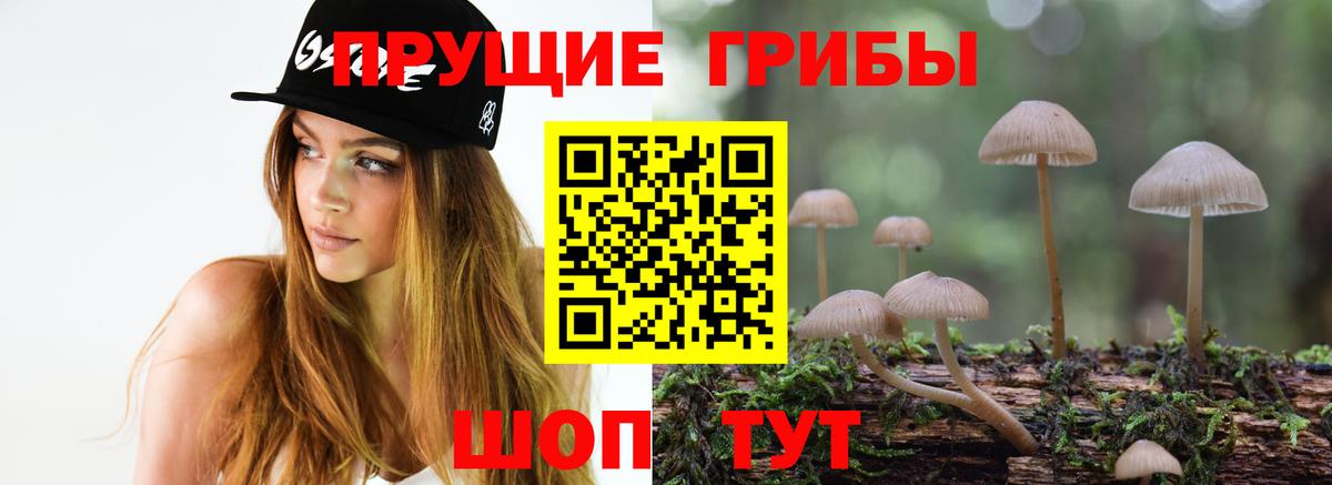 Артём  Галлюциногенные грибы ЛСД  Вход с VPN 