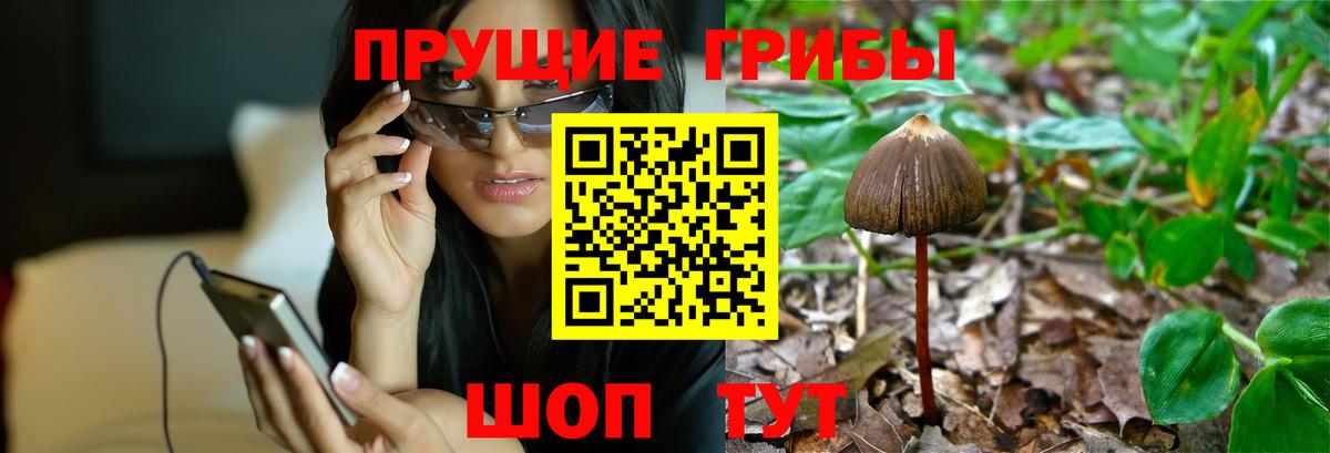 Псилоцибиновые грибы Magic Shrooms Артём